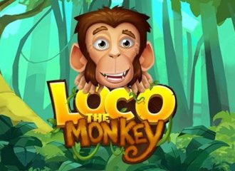 Loco the Monkey